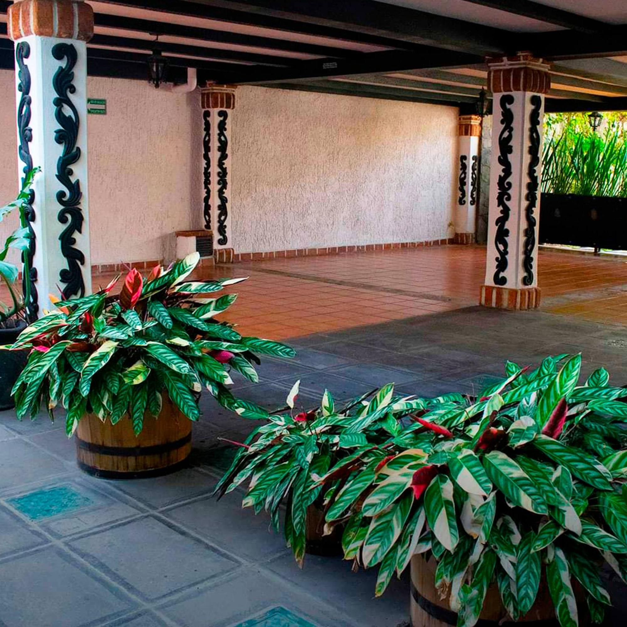 Hotel Boutique La Mansion Guadalajara Luaran gambar